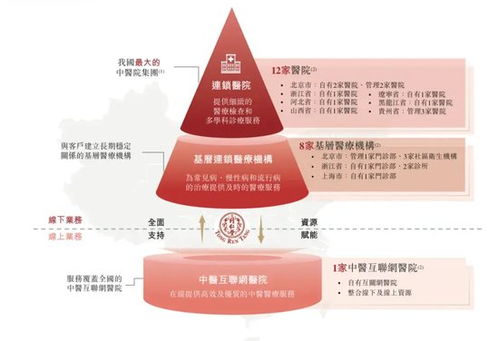 同仁堂醫(yī)養(yǎng)“買買買”背后的高速增長(zhǎng) 商譽(yù)高懸與信息咨詢服務(wù)的新挑戰(zhàn)